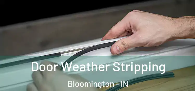 Door Weather Stripping Bloomington - IN