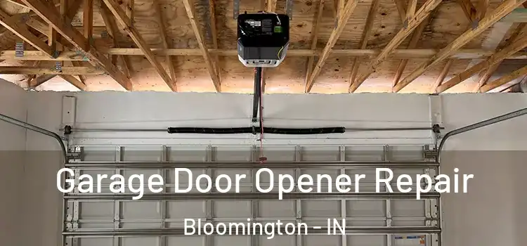  Garage Door Opener Repair Bloomington - IN