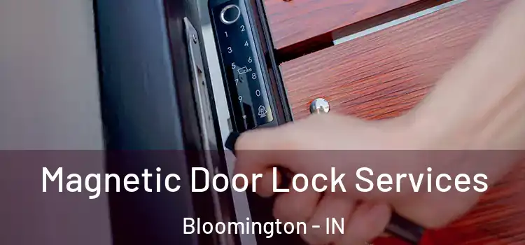 Magnetic Door Lock Services Bloomington - IN