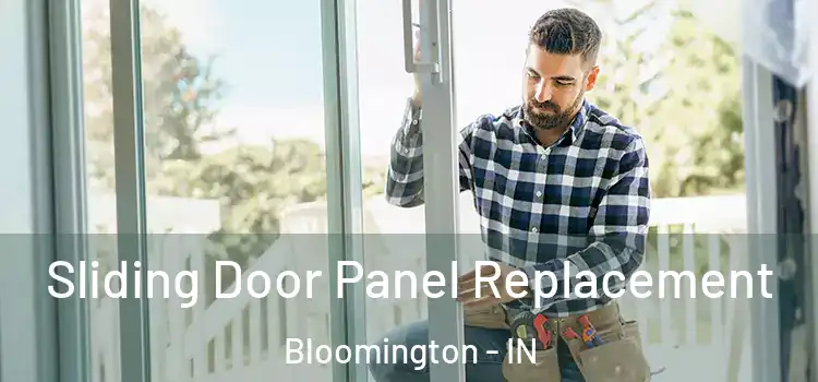  Sliding Door Panel Replacement Bloomington - IN